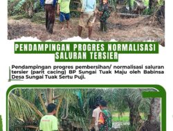 Pendampingan Progres Normalisasi Saluran Tersier