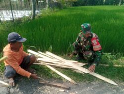 Cegah Tanaman Diserang Binatang Liar, Babinsa Bantu Petani Buat Pagar Bambu