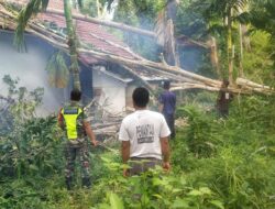 Respons Cepat Babinsa, Pohon Tumbang di Kantor Keuchik Pucok Kreung Berhasil Dievakuasi