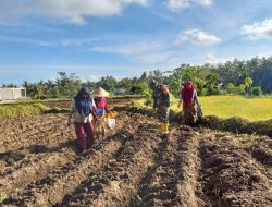 Babinsa Perina Bantu Warga Binaan Buat Sumur Untuk Kebutuhan Pemakaman