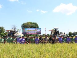 Danrem 141/Tp Dampingi Pangkogabwilhan II Panen Raya di Maros, Dorong Target Ketahanan Pangan Nasional