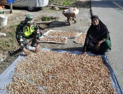 Babinsa Tangse Anjangsana dan Bantu Warga Jemur Pinang, Wujud Nyata Pembinaan Teritorial