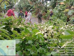 Koramil-06 Kodim 1404/Pinrang Kerja Bakti Bersihkan Ranting Pohon Yang Menghalangi Jalan Bersama Warga