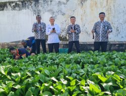 Kalapas Ambarawa Panen Kesekian Kalinya Hasil Pertanian Untuk Program Ketahanan Pangan