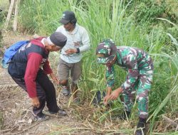 Program Unggulan KASAD, Satgas TMMD ke-125 Kodim 1419/Enrekang Laksanakan Penanaman Pohon