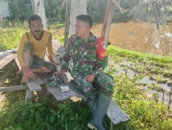 Wujudkan Kemandirian Pangan, Babinsa Koramil 02/Labuhanhaji Turun langsumv lakukan Pendampingan dan Bantu Petani olah lahan