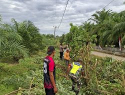 Gerakan Aksi Gotong Royong di Desa Ujung Tanoh Kota Bahagia Sambut HUT ke-80 Republik Indonesia
