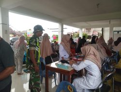 Babinsa 02/Seunagan Dampingi Kegiatan Posyandu Di Desa Binaan