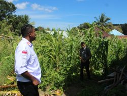 Kepala Lapas Wonreli Tinjau Lahan Pertanian, Dukung Program Swasembada Pangan