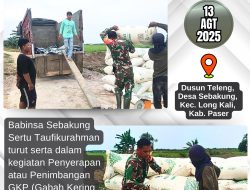 Kehadiran Babinsa Sebakung Guna Kelancaran Kegiatan Penyerapan GKP