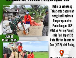 Serda Saparulah Membantu Kelancaran Proses Penyerapan GKP