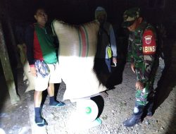 Tak Kenal Waktu, Babinsa Koramil 1405-06/Barru Dampingi Penyerapan Gabah Petani