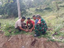 Satgas TMMD Ke-125 Kodim 1422/Maros dan Masyarakat Tanaman Pohon disepanjang Lokasi Pengerasan Jalan