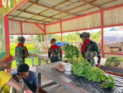 Satgas Pamtas Mobile Yonif 733/Masariku: Dari Senjata ke Sayuran, Wujud Cinta untuk Warga Papua