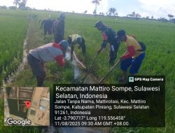 Babinsa Koramil-02 Kodim 1404/Pinrang Bantu Warga Bersihkan Saluran Irigasi