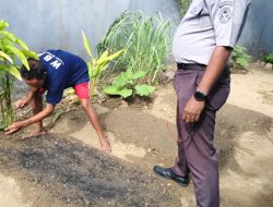 Lapas Wonreli Giatkan Ketahanan Pangan Lewat Kebun Sawi Warga Binaan