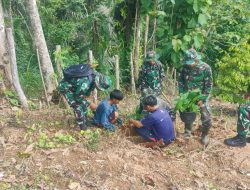 Ciptakan Lingkungan Hijau Dan Bebas Polusi, Personil Koramil 01/Maiwa Bersama Warga Tanam Pohon Penghijauan