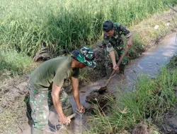 Dukung Ketahanan Pangan, Babinsa Kodim 1404/Pinrang Laksanakan Kerja Bakti Bersihkan Saluran Irigasi