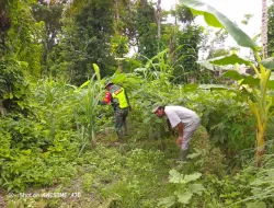 Pererat hubungan antara Petani atau Pekebun tumpang sari dengan Babinsa di wilayah Beutong