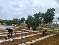 Rutan Pelaihari Siapkan Lahan Tanam Tomat, Wujud Nyata Pemberdayaan Warga Binaan dan Dukung Ketahanan Pangan
