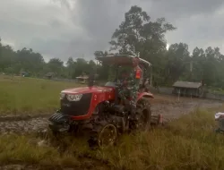 Babinsa Koramil 05/Simbar Lihai Mengoperasikan Mesin Membajak Sawah