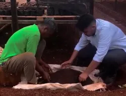 Wujudkan Ketahanan Pangan, Warga Binaan Rutan Pelaihari Siapkan Media Pembibitan Tomat dan Kembang Kol