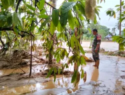 Menerima Laporan Warga Adanya Penemuan Mayat, Babinsa Koramil 09/Batang Anai Sertu Syahrizal langsung Ke Lokasi
