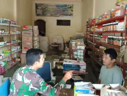 Babinsa Datangi Toko Tani, Pastikan Ketersediaan Pupuk dan Bibit