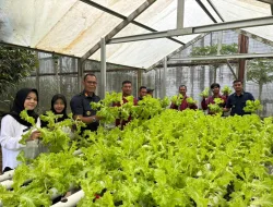 Panen 30 Kg Selada, Warga Binaan Lapas Banjarbaru Sukses Kembangkan Hidroponik