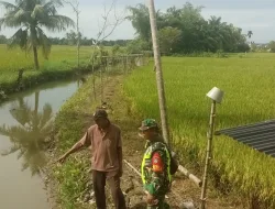 Babinsa Koramil 02/Seunagan Bersama Petani Cek Saluran Air Irigasi Di Desa Binaan