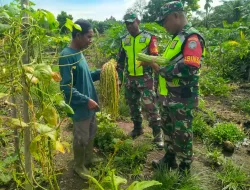 Babinsa Kunjungi Kebun Warga, Berikan Motivasi dan Dukungan kepada Petani