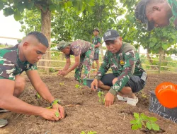 Prajurit TNI Denma Brigif 31/TP/Perisai Sakti Ubah Lahan Kosong Jadi Lahan Pertanian Produktif