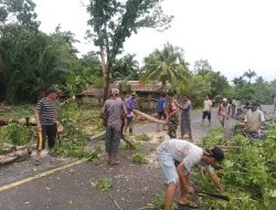 Babinsa Gotong Royong Bersama Aparat Desa Binaan