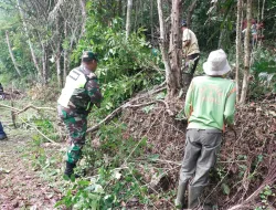 Jaga Kebersihan Lingkungan, Babinsa Koramil 26/Grong-Grong dan Warga Bersihkan Lahan Kosong di Desa Mesjid Beureuleung