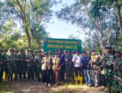 Pembinaan lingkungan Hidup,Kodim 0907/Tarakan Tanam Ratusan Bibit Mangrove