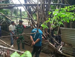 Kerja Sama Babinsa Dan Warga Terhadap Hanpangan