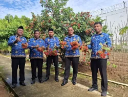 Panen 150 Kg Rambutan, Lapas Banjarbaru Perkuat Pembinaan dan Dukung Ketahanan Pangan