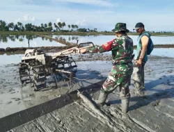 Percepat LTT, Babinsa Koramil 1404-04/Paleteang Dampingi Pengolahan Lahan Pertanian