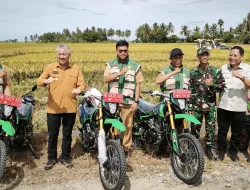 Dandim 1404/Pinrang Bersama Forkopimda Hadiri Pesta Panen Padi di Kec. Mattiro Sompe