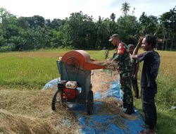 Babinsa Posramil Teupah Barat Membantu Petani Menjemur Padi