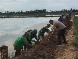 Babinsa Koramil 1404-06/Duampanua Bersama Warga Kerja Bakti Perbaiki Jalan Tani