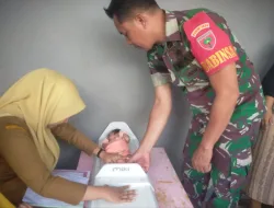 Babinsa Koramil 1404-04/Paleteang Dampingi Pelaksanaan Posyandu Balita