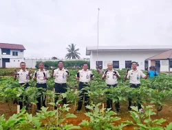 Panen Terong Ungu Awal 2026, Rutan Pelaihari Optimalkan Lahan Blok Hunian E