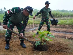 Hijaukan Negeri, Kokohkan Ketahanan Pangan: Danrem 174/ATW Tanam Pohon Bersama Prajurit”