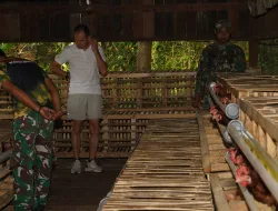 Korem 181/PVT Dukung Program Unggulan Kasad, Sukseskan Ternak Ayam Petelur