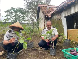 Rutan Salatiga Sukseskan Panen Raya Nasional Untuk Bansos