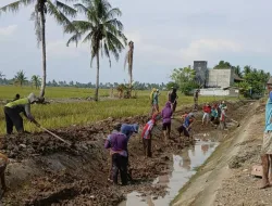 Peduli Kebersihan Lingkungan, Babinsa Koramil 1404-06/Duampanua Gelar Kerja Bakti Bersama Warga