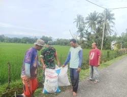 Babinsa Koramil 15/Tiro Dengarkan Keluhan Petani Terkait Ketersediaan Pupuk di Musim Tanam