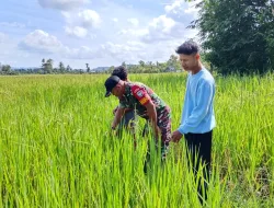 Penguatan Pangan Bersama Warga Binaan