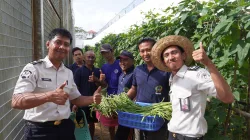 Panen 60 Kg Kacang Panjang, Lapas Banjarbaru Perkuat Kemandirian Pangan